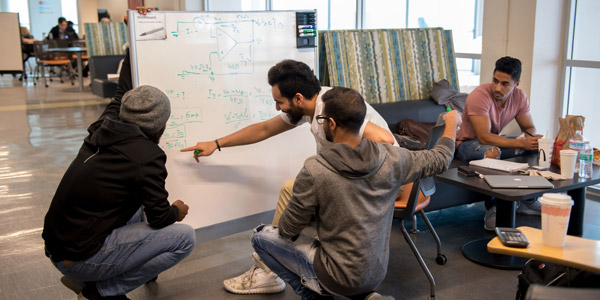 Male students studying in front of white board in the library
